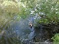 020 Swimming